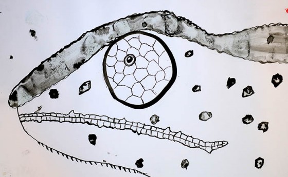 Альбертс Е.